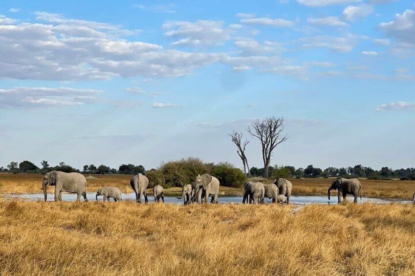 Victoria Falls, Chobe and Okavango Delta Private Multi-day Tour