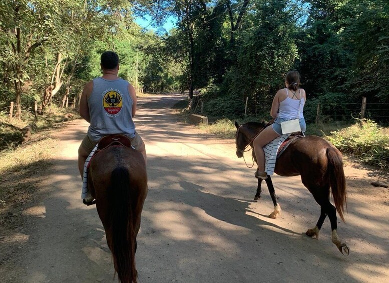 Picture 4 for Activity Horseback riding on the beach