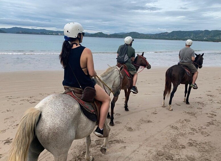 Picture 3 for Activity Horseback riding on the beach