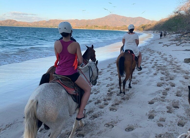 Picture 2 for Activity Horseback riding on the beach