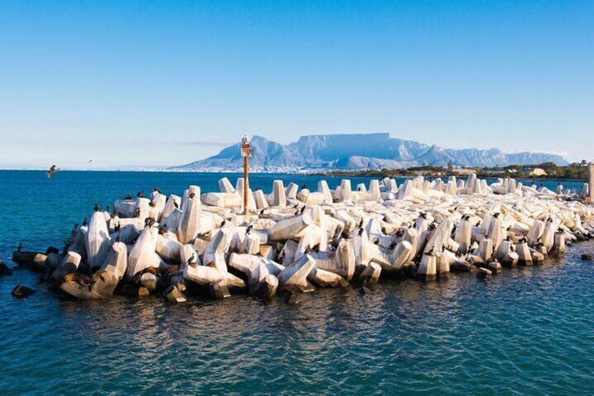 Half Day Robben Island Tour with Pick up