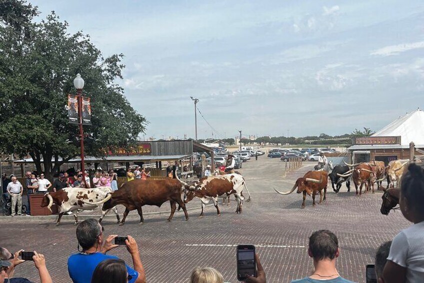 Historical Tour of Downtown/Stockyards