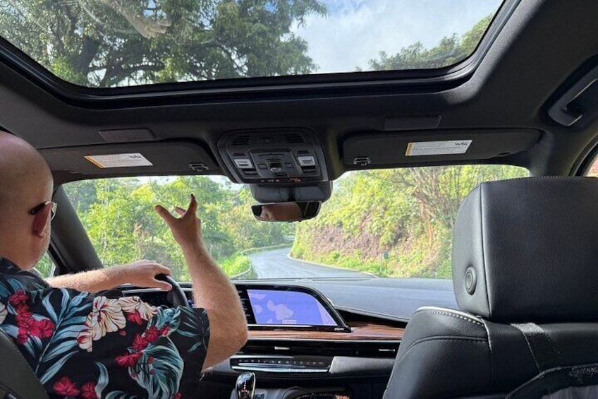 VIP Private Road to Hana Tour in Cadillac Escalade with Pickup
