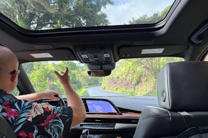 VIP Private Road to Hana Tour in Cadillac Escalade with Pickup