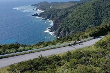 Tokashiki Island Guided Cycling Tour 5 Hour Course