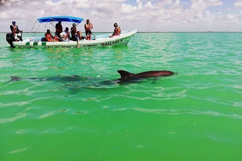 Sian Ka’an Tour of Muyil Ruins and a Swim in Magical Cenote