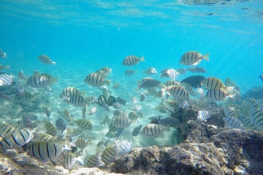 Sian Ka’an Tour of Muyil Ruins and a Swim in Magical Cenote