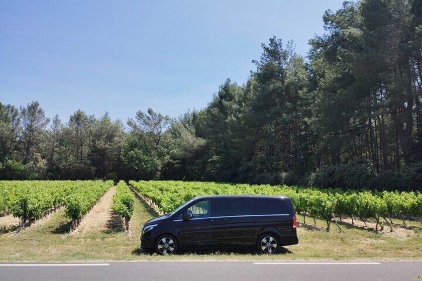 Private Art, Wine and History Tour in Aix-en-Provence
