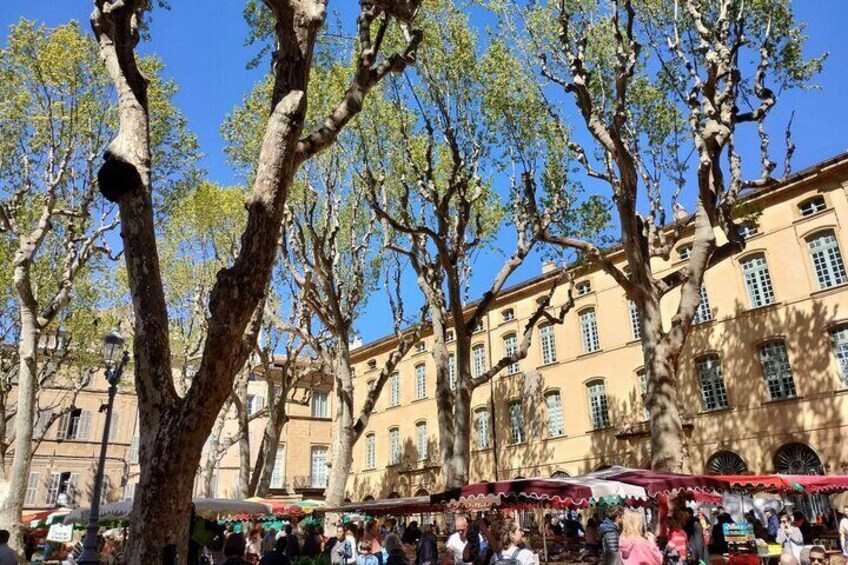 Private Art, Wine and History Tour in Aix-en-Provence