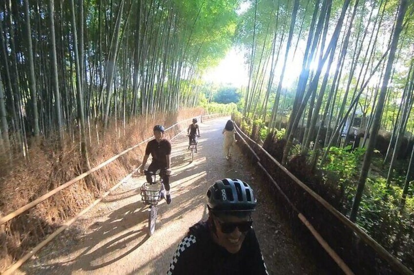 Private E Bike a Discovery Journey of Arashiyama's Splendor