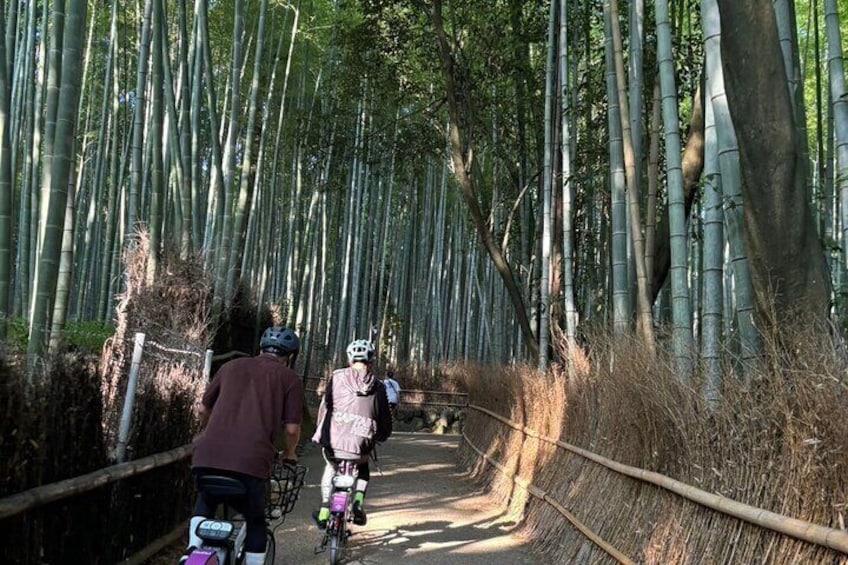 Private E Bike a Discovery Journey of Arashiyama's Splendor