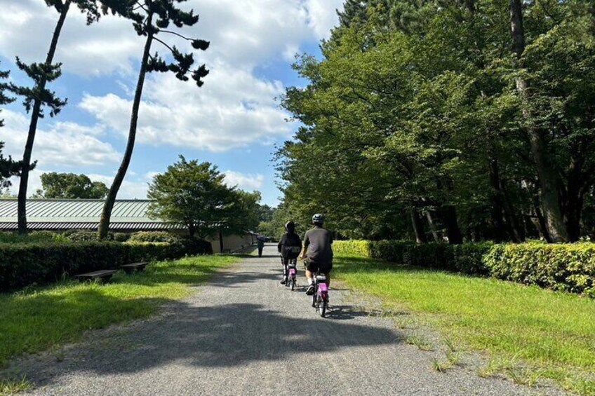 Kyoto Private Guided E-Bike Tour