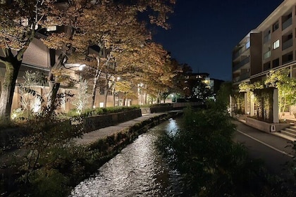 With someone you love: Illuminated Kyoto Tour by Bicycle