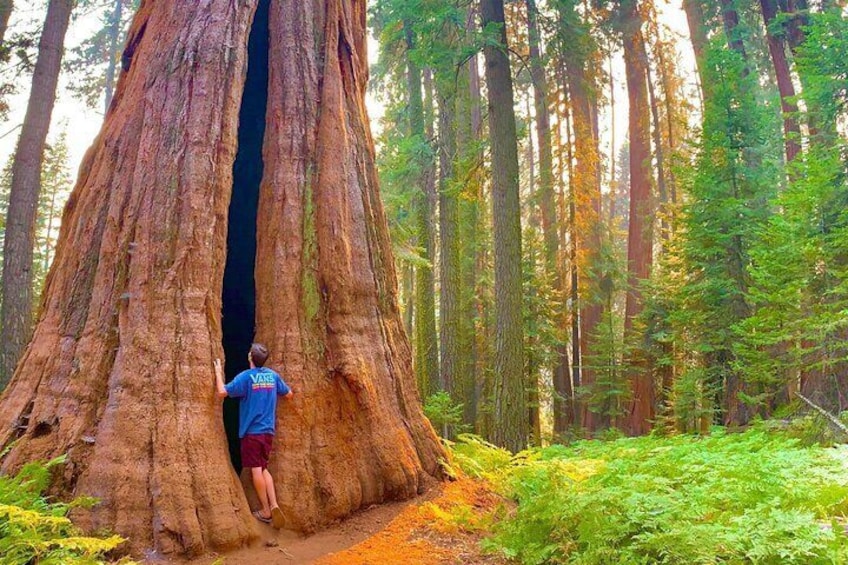 Nature at her best!