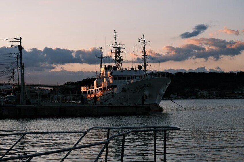 Half Day Private Walking Tour in Historical Port Town