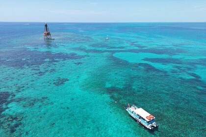 Historic Carysfort Lighthouse Snorkeling Tour