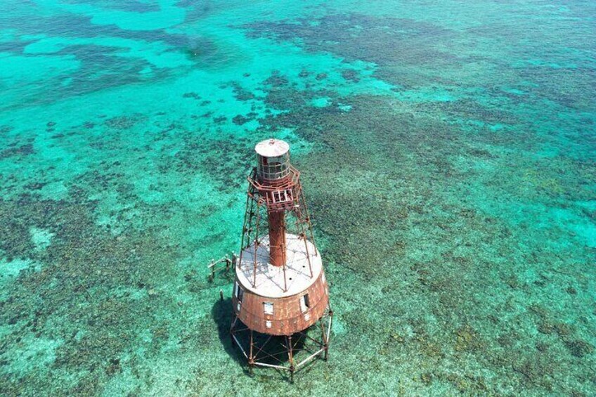 Carysfort Lighthouse Snorkeling Activity