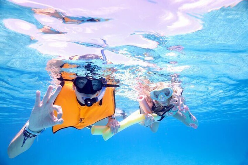 Carysfort Lighthouse Snorkeling Activity