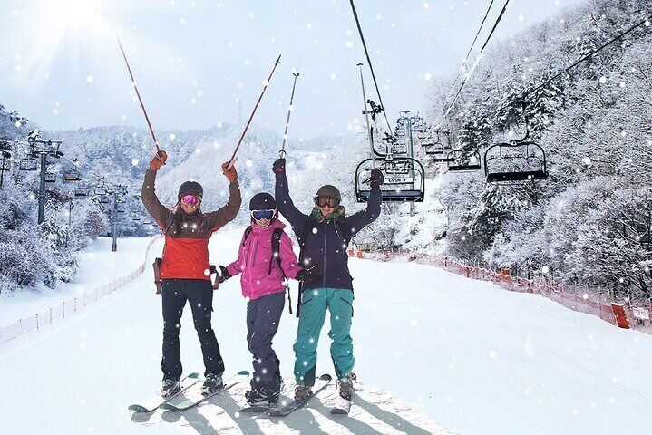Elysian Ski Resort and Eobi Ice Valley Day Tour from Seoul