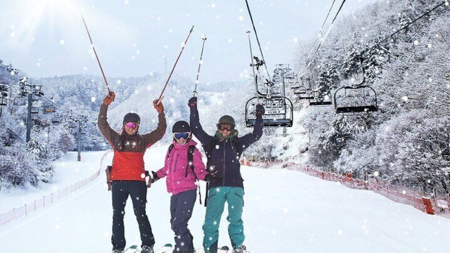 Elysian Ski Resort and Eobi Ice Valley Day Tour from Seoul