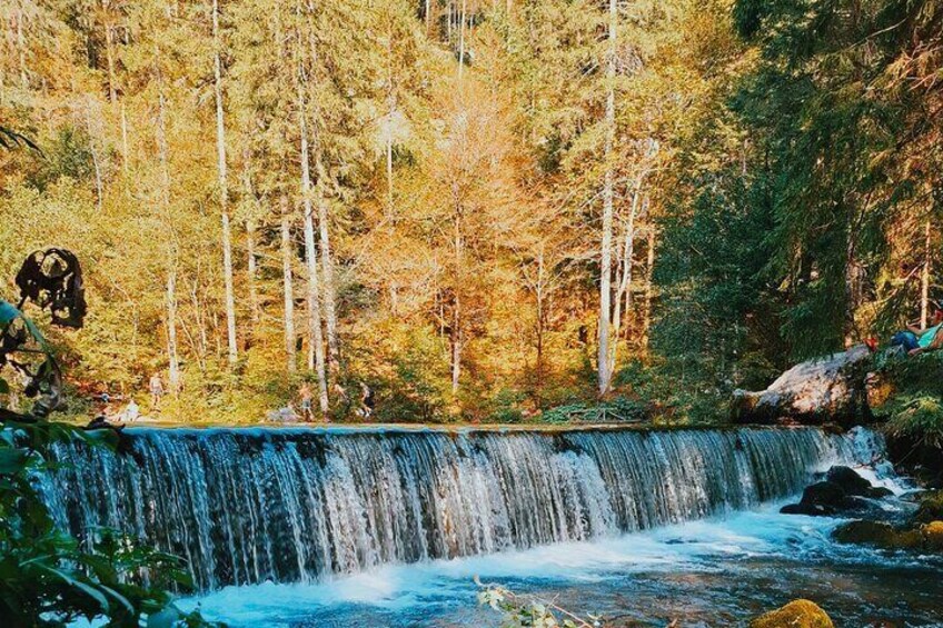 Private Culinary Workshop and Kamniška Bistrica Tour