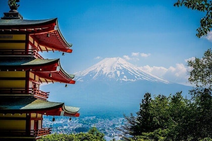 Private Tour of Mount Fuji with Kawaguchi Lake and Oshino Hakkai