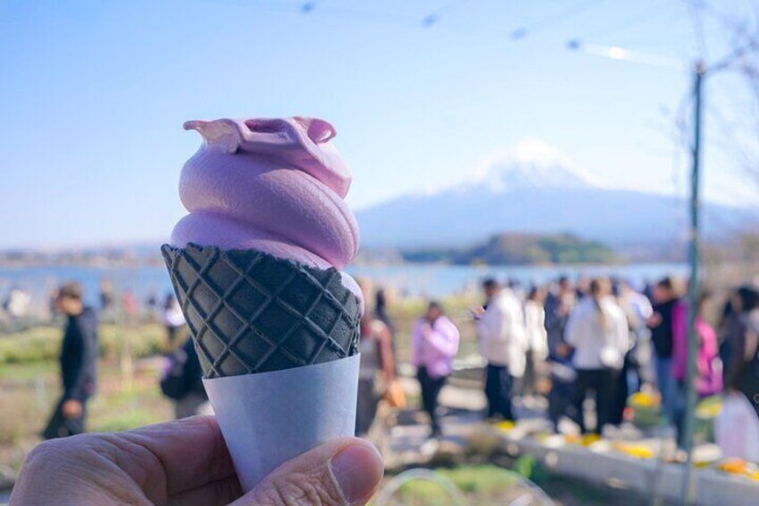 Private Tour of Mount Fuji with Kawaguchi Lake and Oshino Hakkai