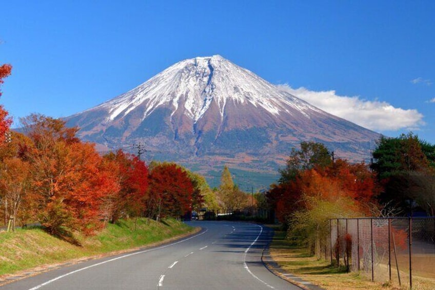 Private Tour of Mount Fuji with Kawaguchi Lake and Oshino Hakkai