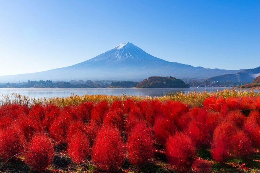 Private Tour of Mount Fuji with Kawaguchi Lake and Oshino Hakkai