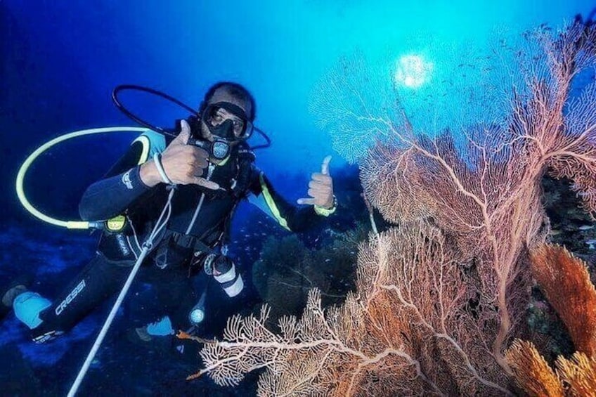 5 Days 4 Nights Fuvahmulah Tiger Shark Special 6 Dives Tour