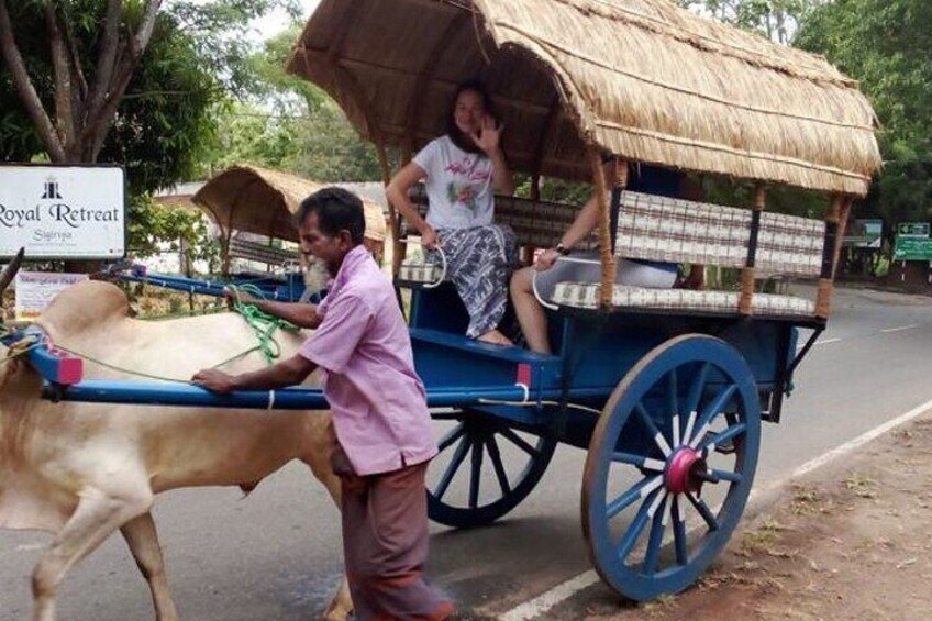  Sigiriya & Dambulla Private Day Tour with pick up