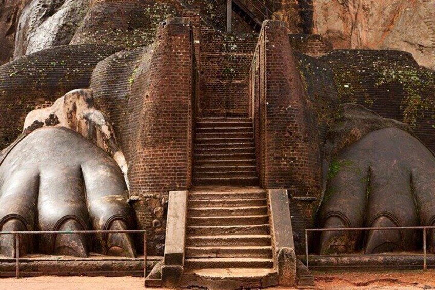  Sigiriya & Dambulla Private Day Tour with pick up