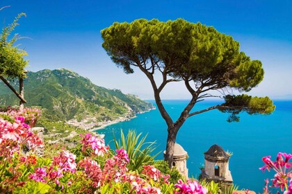 Sorrento: Tour in kleine groep naar Positano, Amalfi en Ravello