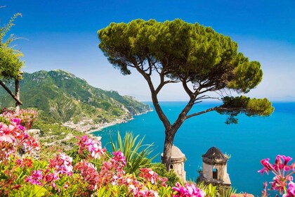 Sorrento: Resa i liten grupp till Positano, Amalfi och Ravello