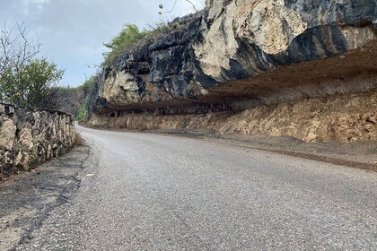 Tour in North and South Bonaire Guided