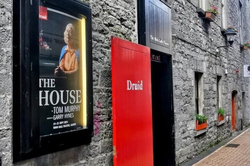 The Druid Theatre