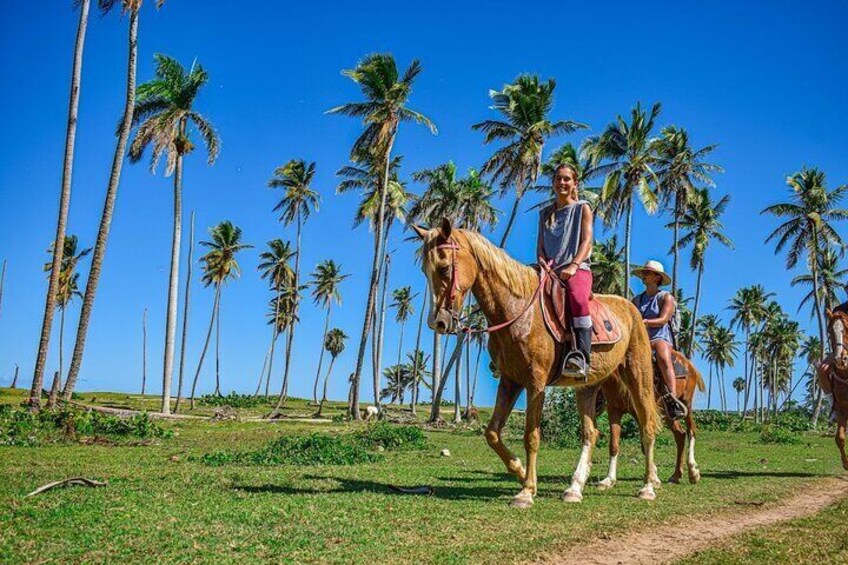 Explore Miches Horseback Riding 4x4 Beach Relaxation