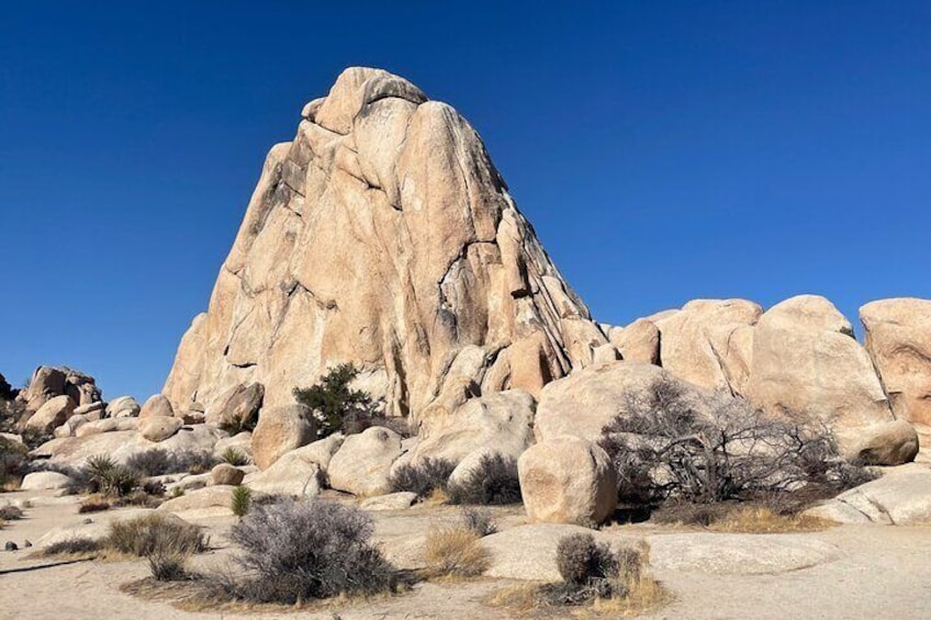 Private Day Tour to Joshua Tree National Park from San Diego 