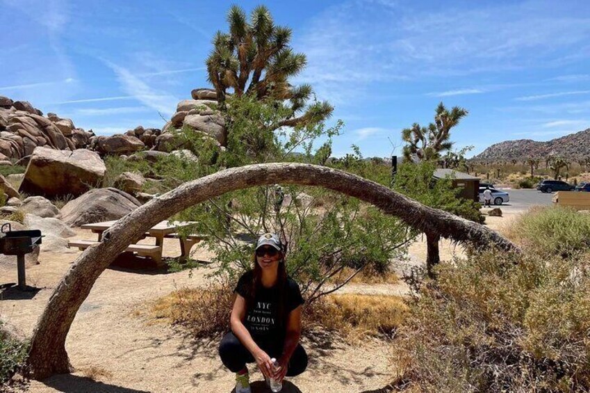 Private Day Tour to Joshua Tree National Park from San Diego 