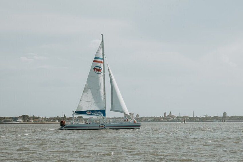 Dolphin Watch & Historical Harbor Tour in St. Augustine