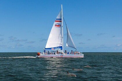 Dolphin Watch & Historical Harbour Tour in St. Augustine