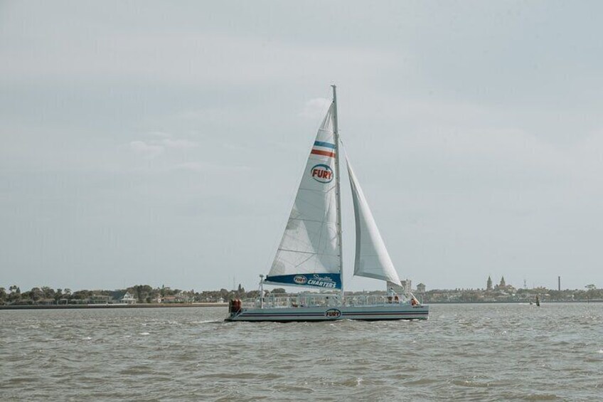 Dolphin Watch & Historical Harbor Tour in St. Augustine