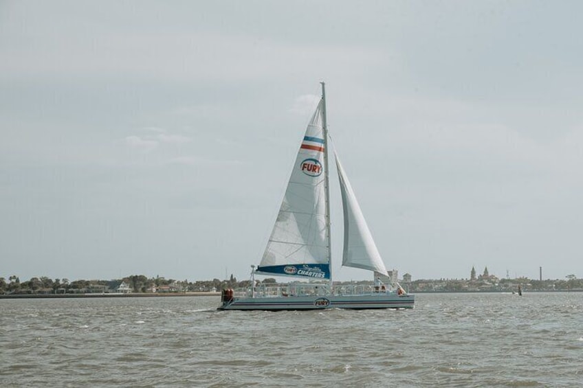 Dolphin Watch & Historical Harbor Tour in St. Augustine