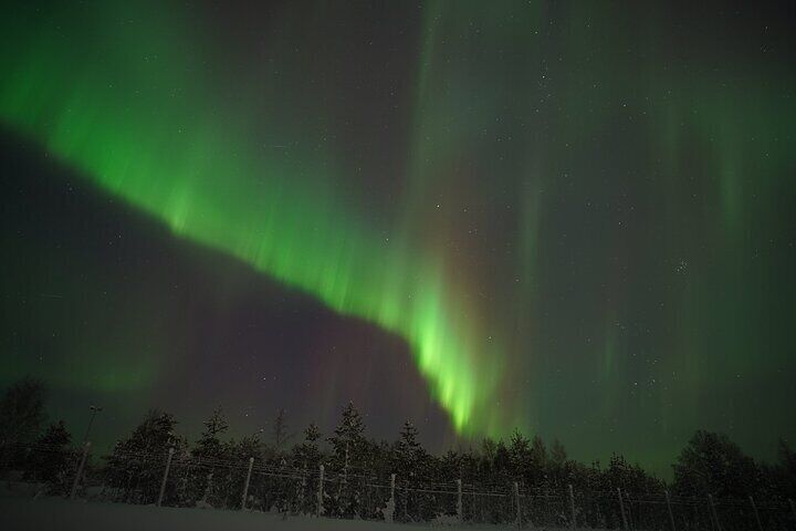 Rovaniemi: Private Nоrthern Lights Tour with Guaranteed Sightings