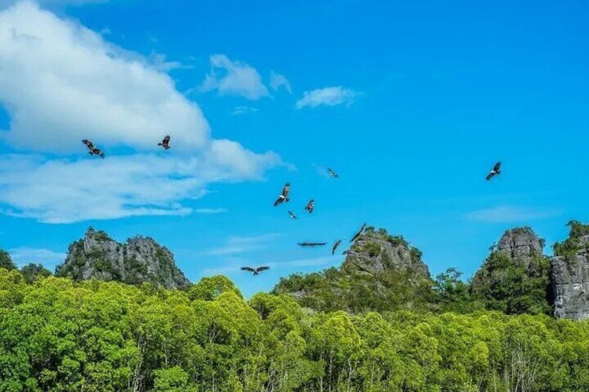 Guided Langkawi Sunset Kayaking Adventures With Hotel Transfers