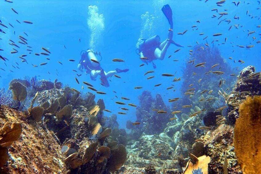 Try SCUBA Diving in Kauai. No Experience? No Problem!