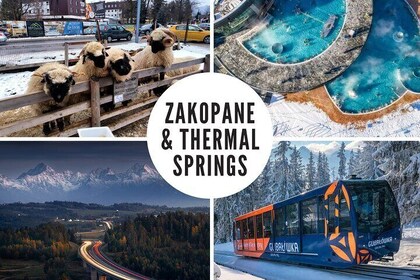 Zakopane & 熱泉與私人司機