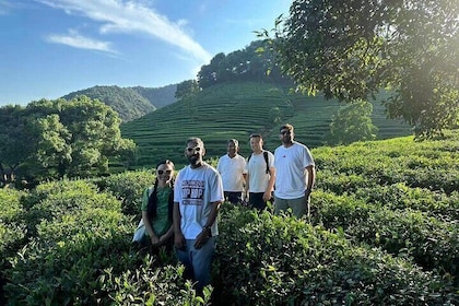 Hangzhou Private Tour from Shanghai by Bullet Train