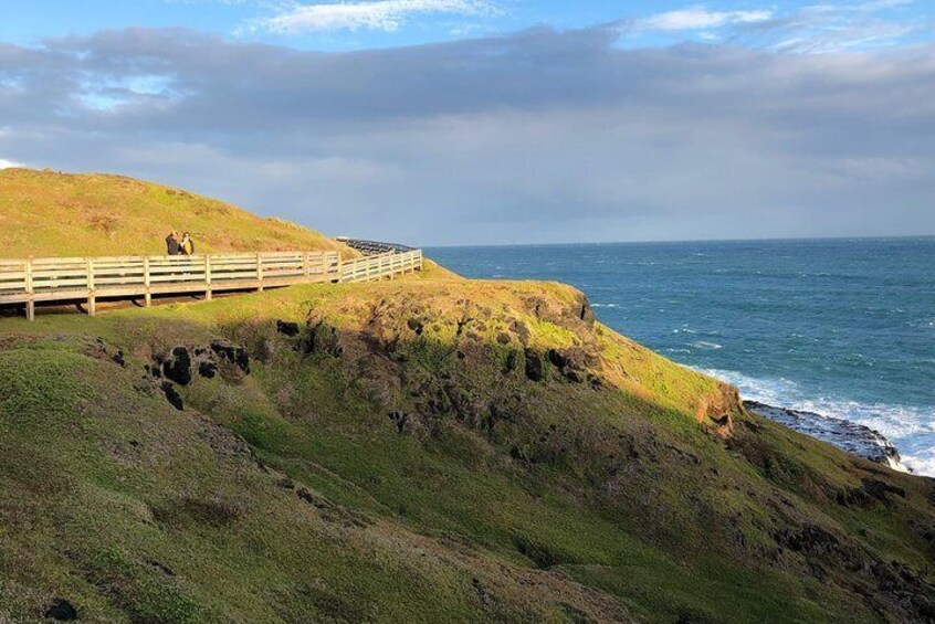 Phillip Island Penguins Private Adventure