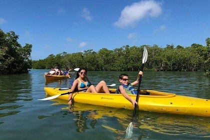 3 hours Kayak tour of menai bay coastline in Zanzibar